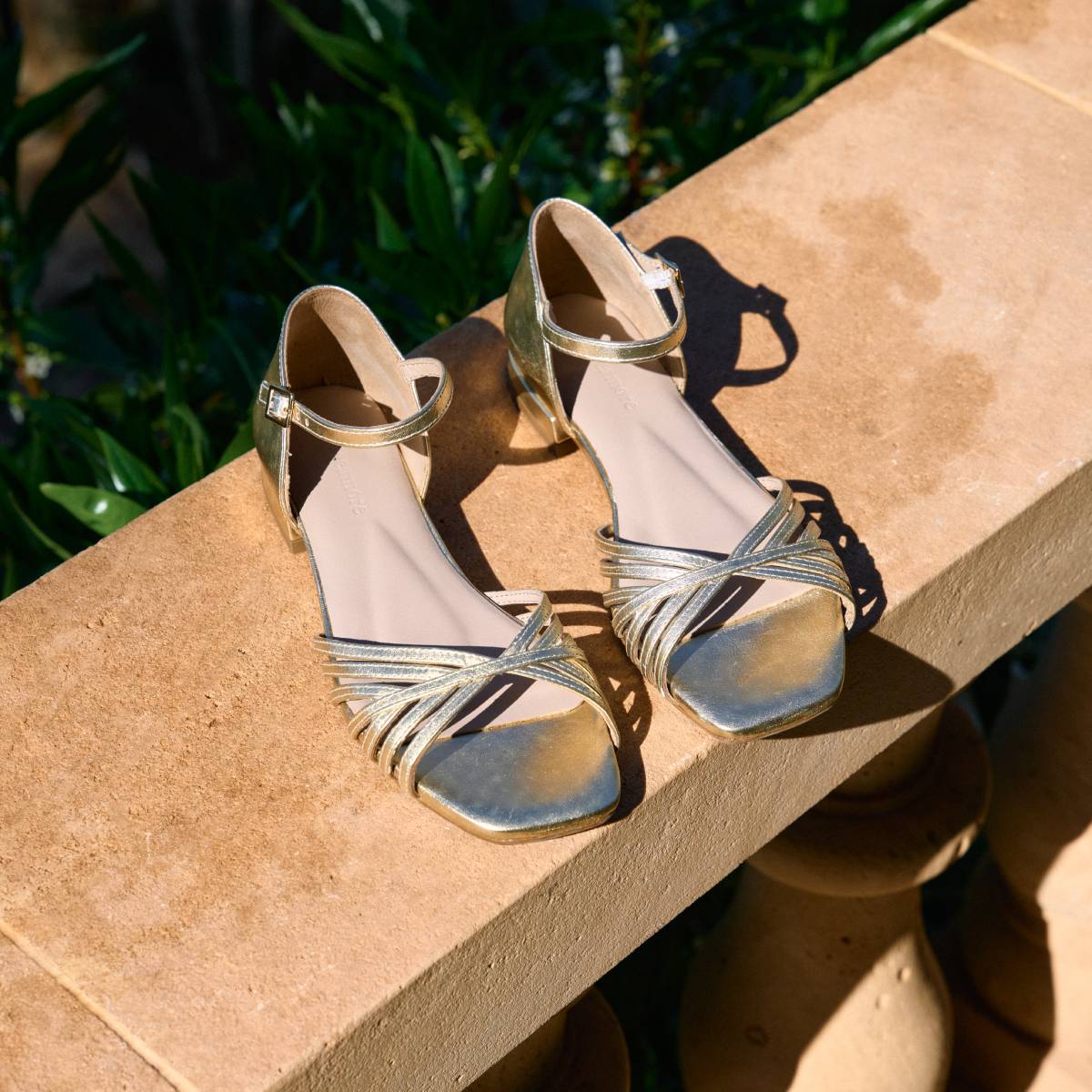 Annett Flat Gold - Image 2