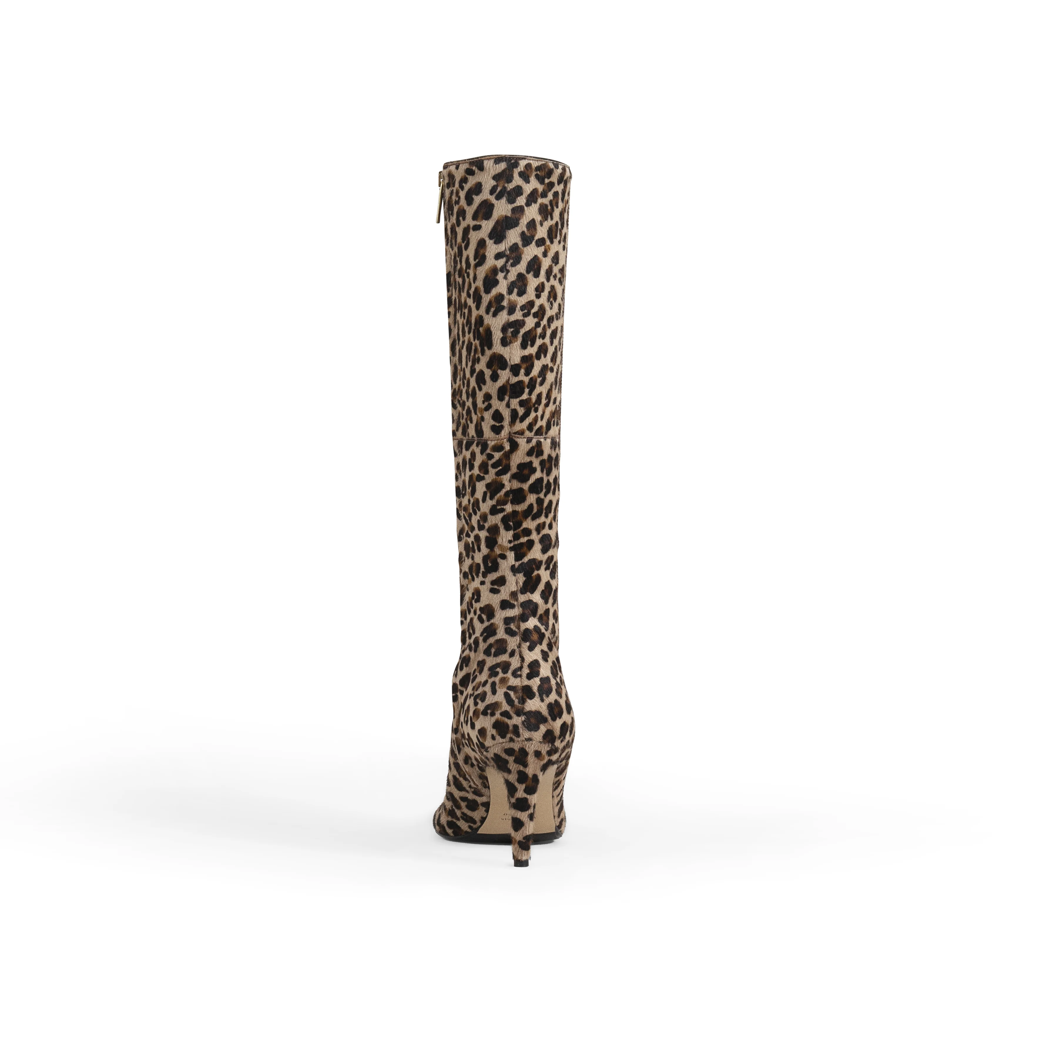 Bellucci Leo Regular - Image 5