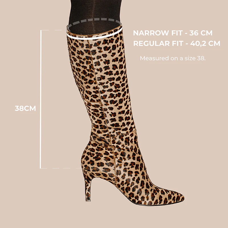 Bellucci Leo Regular - Image 6