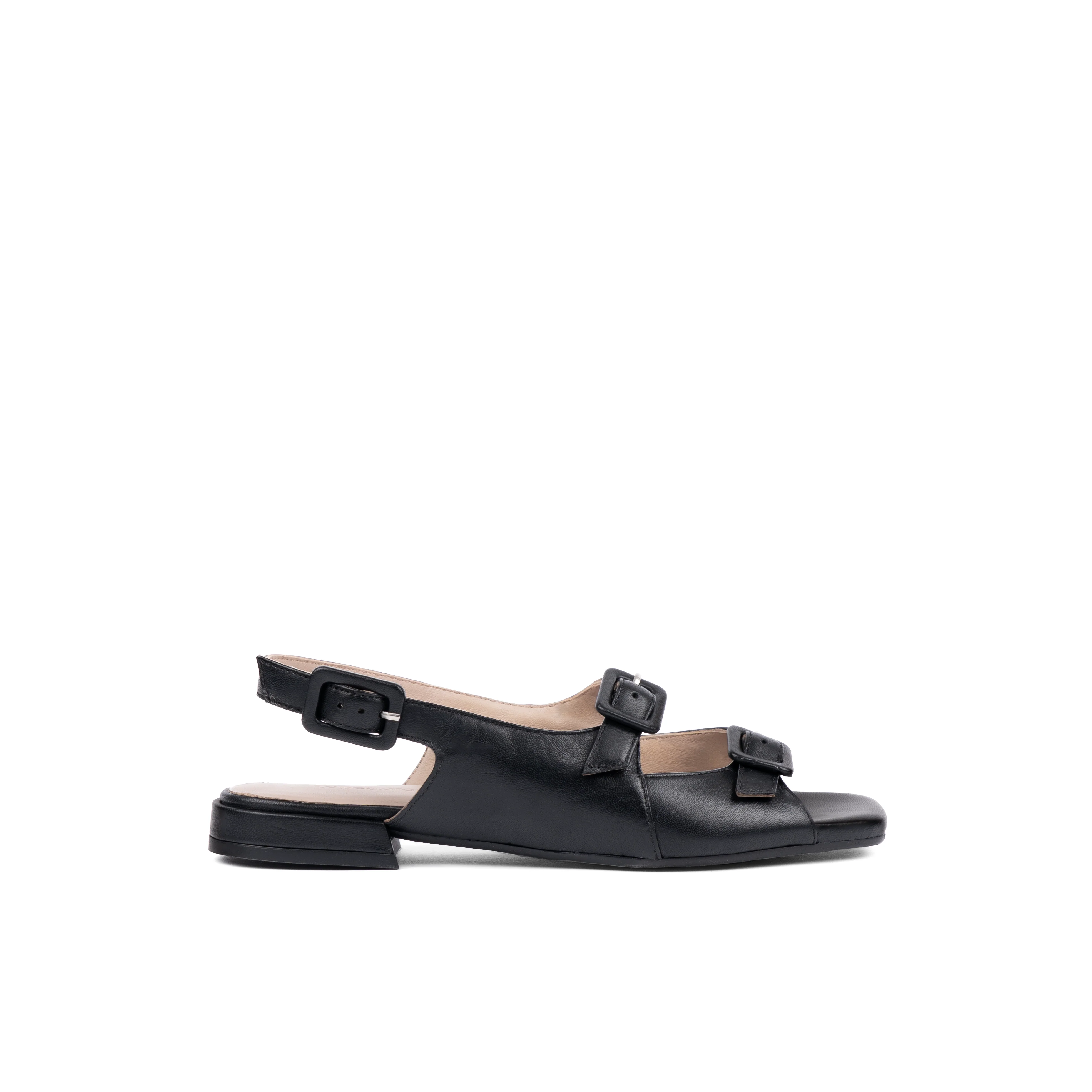 Elmira Black
