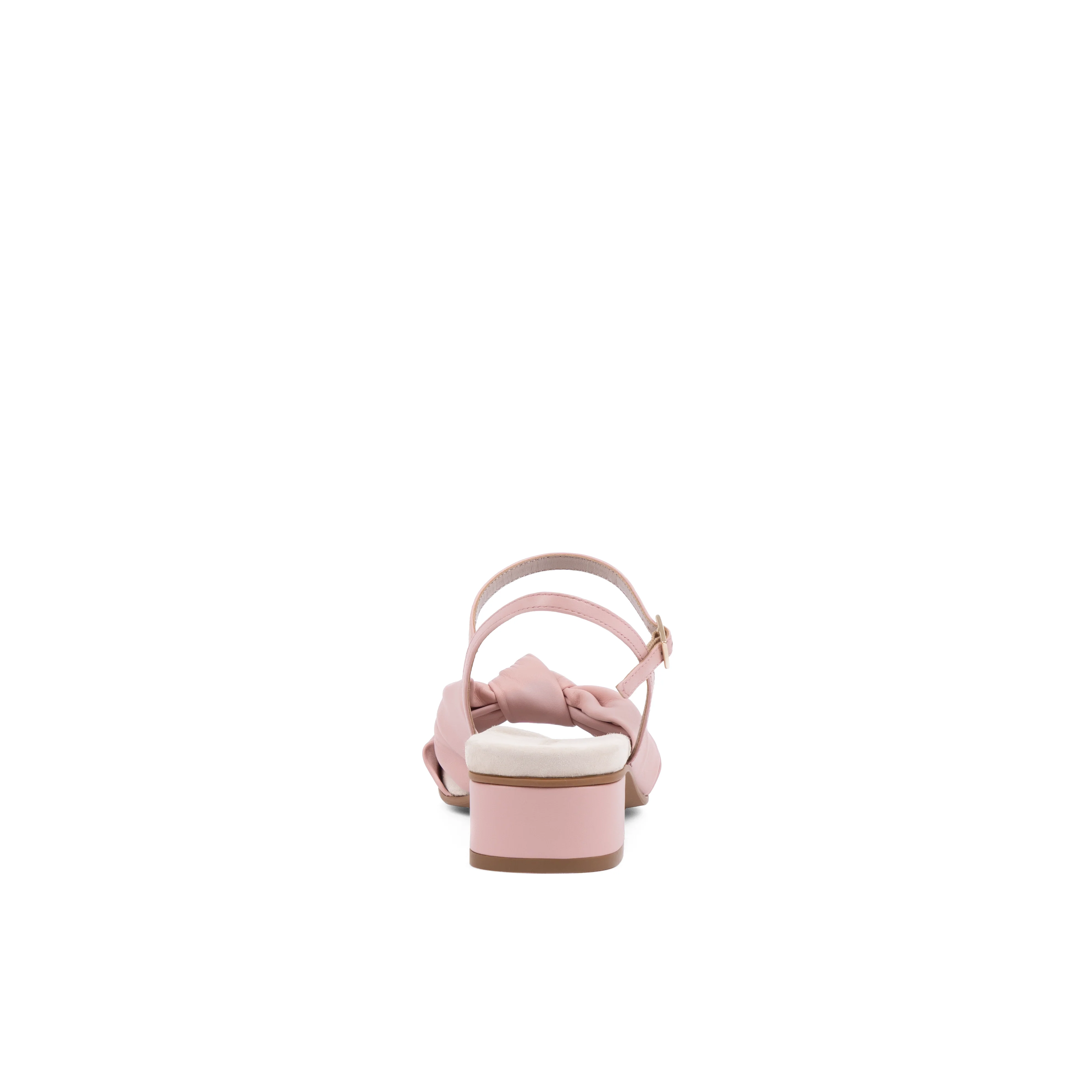 Maya Bellis Rose - Image 5